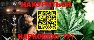 крисы Донской