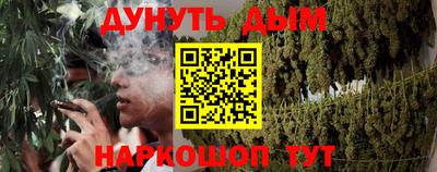 крисы Донской