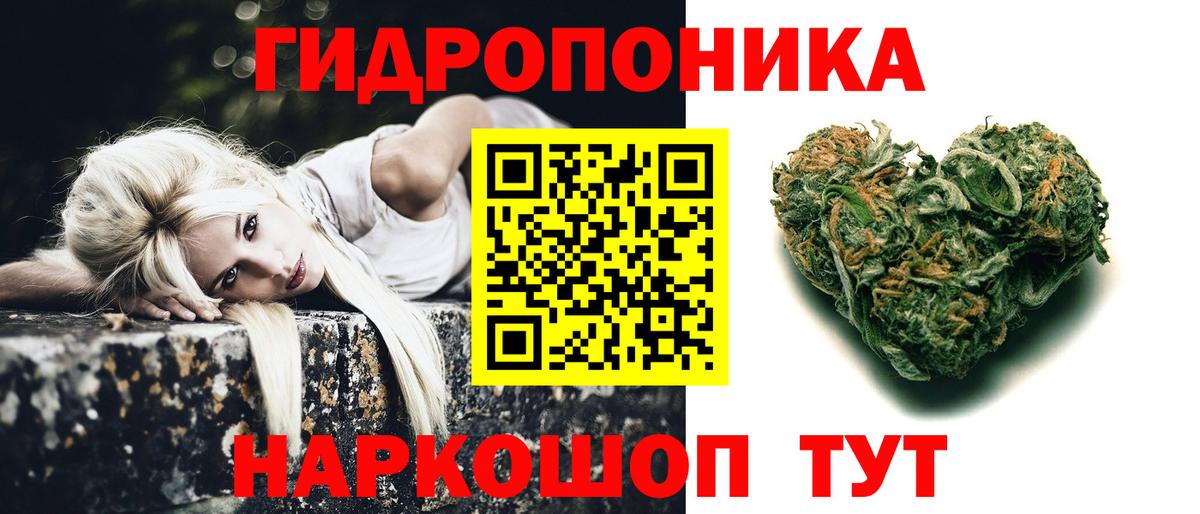 Елец  Каннабис Amnesia  Бошки марихуана планчик  МАРИХУАНА AK-47  Вход с VPN 